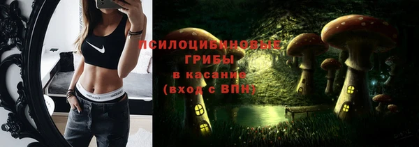 соль ск Алексин