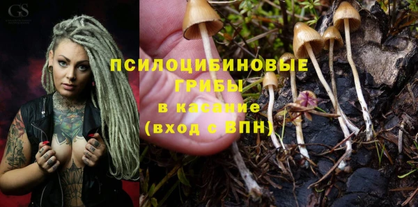 соль ск Алексин