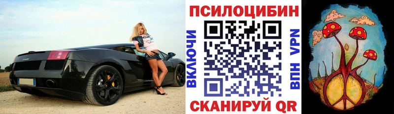 Псилоцибиновые грибы MAGIC MUSHROOMS  Новоаннинский 